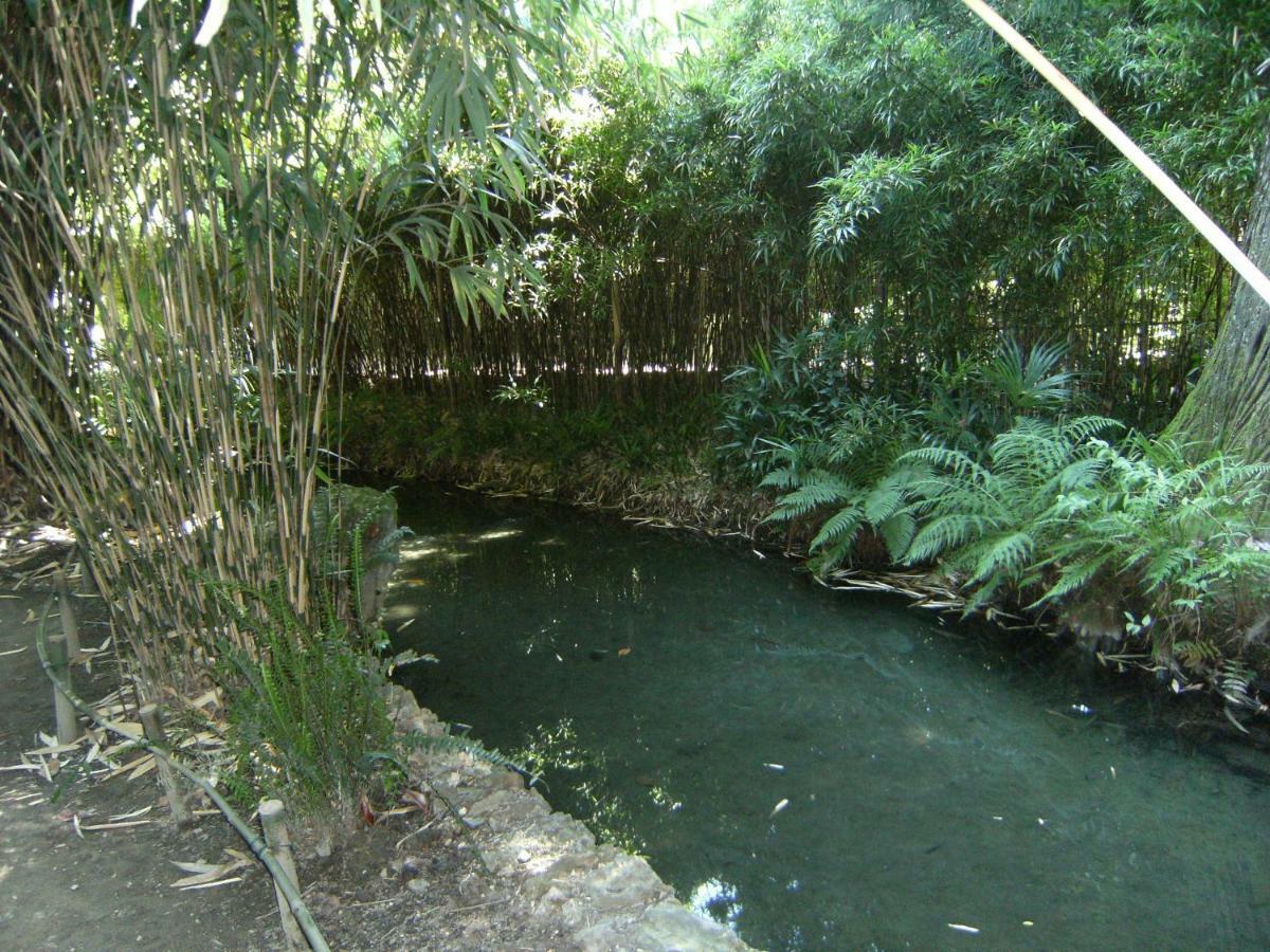 Retour Aux Sources Villa Sauve Dış mekan fotoğraf