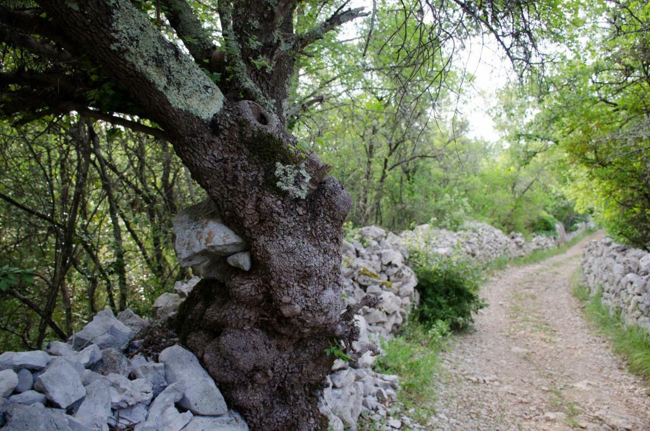 Retour Aux Sources Villa Sauve Dış mekan fotoğraf